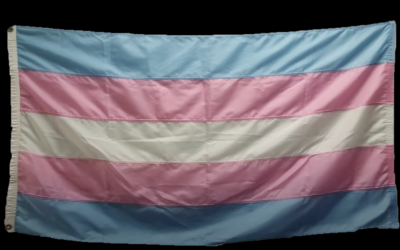 History of the Transgender Flag