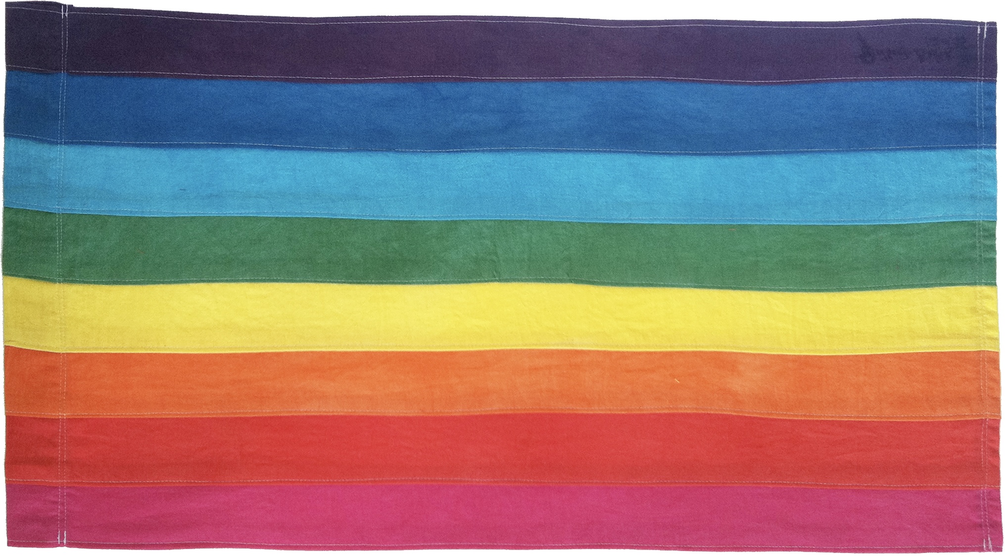 This is a picture of the original 8 color rainbow flag.