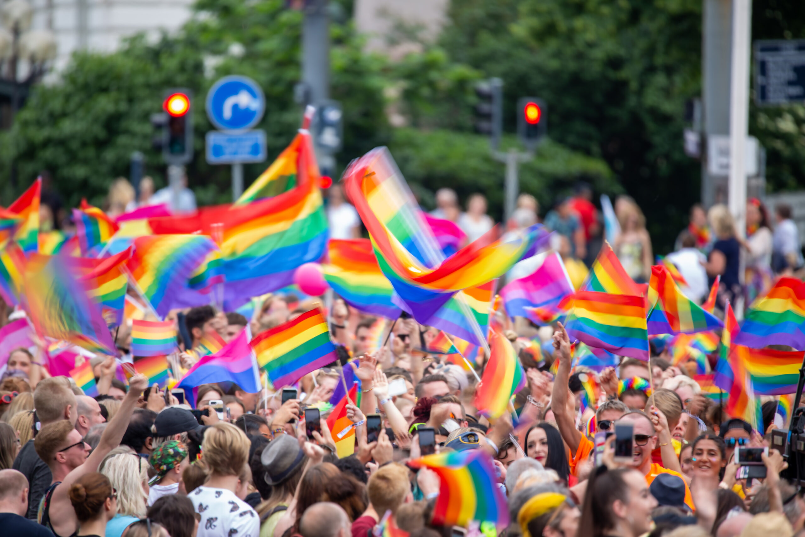 This is a picture of the original 8 color rainbow flag.